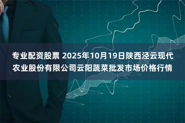 专业配资股票 2025年10月19日陕西泾云现代农业股份有限公司云阳蔬菜批发市场价格行情