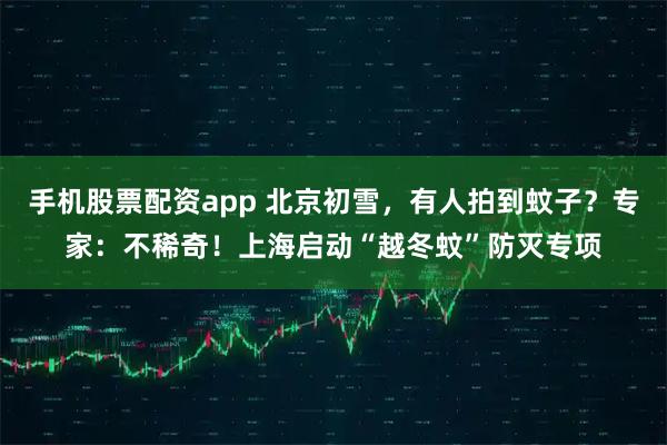手机股票配资app 北京初雪，有人拍到蚊子？专家：不稀奇！上海启动“越冬蚊”防灭专项